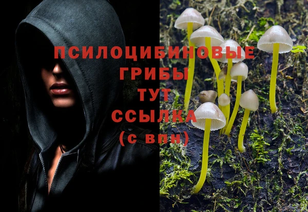 ПСИЛОЦИБИНОВЫЕ ГРИБЫ Аксай
