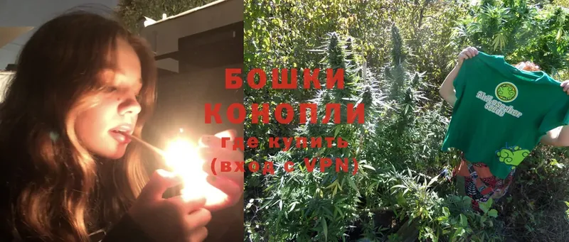 Канабис White Widow  купить наркотик  Боровск 